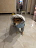優(yōu)觀(guān)狗狗雨衣可牽引中小型犬四腳衣服全包防水柴犬比熊雨披防臟沖鋒衣 天空藍(高強防水防污漬) S碼(建議5~8斤左右) 曬單實(shí)拍圖