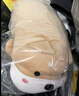 名創(chuàng  )優(yōu)品（MINISO）趴姿系大號趣味狗狗公仔玩偶玩具抱枕靠枕娃娃生日禮物女 卡其色 曬單實(shí)拍圖
