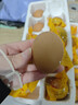 舌小悠【紅殼大個(gè)】十三天新鮮活珠子雞胚蛋五香味香辣味開(kāi)袋即食正宗 秘制香辣味 50g*10枚 曬單實(shí)拍圖