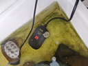 淘歌烏龜加熱棒50W魚(yú)缸加熱棒迷你自動(dòng)恒溫加熱器低水位3.8cm 曬單實(shí)拍圖