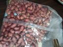十月稻田 花生米 2斤 東北紅花生仁 五谷雜糧粗糧 八寶粥原料 油炸下酒菜 曬單實(shí)拍圖
