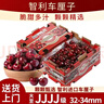 櫻鮮智利進(jìn)口原箱車(chē)厘子4J級5kg可選【JD多地次日達】櫻桃年貨節禮盒 3斤(凈重) 【嘗鮮禮盒劃算裝】 嚴選3J巨無(wú)霸【單果30-32mm】 曬單實(shí)拍圖