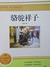 駱駝祥子 七年級下冊必讀名著(zhù) 初中七年級下語(yǔ)文教材名著(zhù)導讀推薦書(shū)目初中語(yǔ)文教材配套閱讀 曬單實(shí)拍圖