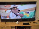 三星品質(zhì)款 55DU8000C 55英寸 平板液晶AI電視 超薄4K AI智能補幀 無(wú)開(kāi)機廣告 UA55DU8000CXXZ 曬單實(shí)拍圖