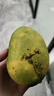 南步海南小臺農芒果 核小香甜雞蛋芒小臺芒非金煌應季新鮮熱帶水果 凈重4.5斤 中果【單果80g+】需催熟 曬單實(shí)拍圖