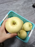 甜醉了 煙臺蘋(píng)果黃元帥粉面蘋(píng)果黃金帥黃香蕉山東新鮮水果當季整箱鮮果 凈重4.5斤75mm 曬單實(shí)拍圖