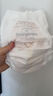 babycare皇室pro拉拉褲L碼3片試用裝(9-14kg)寶寶嬰兒尿不濕超薄透氣 曬單實(shí)拍圖