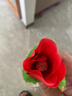 易澤家玫瑰花魔術(shù)道具火把變玫瑰表演火焰魔術(shù)求婚表白情人節520追女生 【加油款】3支配油·每支約用5次 曬單實(shí)拍圖