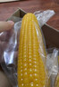 溪邊禾2025新鮮黃糯玉米真空獨立裝蒸煮微波爐加熱即食玉米棒 「延安金穗·皇金糯」家庭安心裝【300g-360g】8穗 曬單實(shí)拍圖