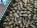 羋六炒花生帶殼原味柴火熟花生2025年新貨 精選原味炒花生【500g*1袋】 曬單實(shí)拍圖