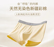 啄木鳥(niǎo)【人參枸杞喚醒褲】男士?jì)妊?0A抗菌天然彩棉純棉養護平角褲4XL 曬單實(shí)拍圖