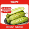 京鮮生 山東童年旱黃瓜 凈重5斤 單果100g+ 水果小青瓜 輕食 源頭直發(fā) 曬單實(shí)拍圖