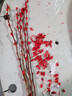 【紅色招財銀柳】干花真花鮮枝耐寒年宵花水培花卉室內擺放裝飾花 60厘米【30支】送燈籠 曬單實(shí)拍圖