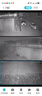 烈駒4g監控無(wú)線(xiàn)攝像頭無(wú)需連wifi免插電終身流量監控器360度無(wú)死角帶夜視無(wú)線(xiàn)戶(hù)外語(yǔ)音對講小米機適用 【真三目1500萬(wàn)】免充值+三畫(huà)面+64G 曬單實(shí)拍圖