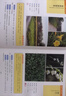 500種常見(jiàn)園林植物識別圖鑒（彩圖典藏版） 曬單實(shí)拍圖