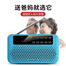 飛利浦（PHILIPS）SBM120 FM收音機插卡音箱 老年人隨身聽(tīng)唱戲機音樂(lè )播放器 半導體調頻可插TF卡U盤(pán)藍色 曬單實(shí)拍圖