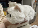 WALULU陪伴智能機器人AI情感毛絨玩具潮流禮物貓咪電子寵物 白色 曬單實(shí)拍圖