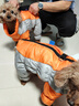 秋冬狗狗衣服棉衣中小大型犬保暖加厚寵物保暖反光防水寵物衣服 橘灰色 XL（10-13斤） 束腳蓬松四腳狗狗棉衣防水 曬單實(shí)拍圖