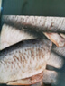 跑山密水農家【冰鮮】密云水庫鯽魚(yú)2斤 活魚(yú)現殺燒烤 寶寶食材源頭直發(fā)生鮮 曬單實(shí)拍圖