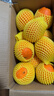 哆莫香美國進(jìn)口黑標橙子新鮮水果當季黑標臍橙 進(jìn)口3107橙子甜橙禮盒 甄選大果10斤【無(wú)禮盒】 曬單實(shí)拍圖