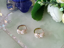 伊燦日韓輕奢水鉆麥穗耳環(huán)女小眾高級感設計耳釘2025新款爆款氣質(zhì)耳飾 日韓輕奢水鉆麥穗耳環(huán) 曬單實(shí)拍圖