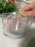 WCZ德國鋼化玻璃量杯帶刻度杯有手柄打蛋杯刻度杯子食品級烘焙工具 加厚-全鋼化1000ml量杯 曬單實(shí)拍圖