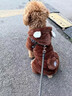 阿莫爾狗狗衣服秋冬裝加絨保暖泰迪比熊小型犬貓咪棉衣防掉毛寵物四腳衣 灰色小熊四腳衣 XS【建議1-3斤 參考胸圍背長(cháng)】 曬單實(shí)拍圖
