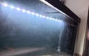 樂(lè )迪魚(yú)缸燈增艷燈led燈防水增艷魔棒智能定時(shí)24V低壓 30W增艷魔棒73cm【適用75-90魚(yú)缸】 曬單實(shí)拍圖