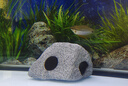 森森（SUNSUN）魚(yú)缸陶罐躲避屋三湖慈鯛造景石頭繁殖罐蝦屋蝦窩蝦瓷罐躲避洞 兩孔山石A 曬單實(shí)拍圖