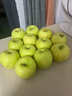 陜西白水瑞雪蘋(píng)果新鮮水果應當季脆甜青蘋(píng)果 60-70mm嘗鮮果16枚 曬單實(shí)拍圖