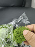 仿真苔蘚草皮青苔假草裝飾造景仿真綠植假草坪魚(yú)缸假山盆景造景用 絲狀苔蘚深綠色【50g】 曬單實(shí)拍圖