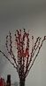 銀柳真花鮮枝干花擺件室內客廳鮮花綠植新年年宵花卉植物過(guò)年春節 60厘米【10支】送掛件 曬單實(shí)拍圖
