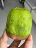 三萌果蔬徐香獼猴桃【閃送】陜西新鮮奇異果綠心獼猴桃水果禮品送禮 15枚活動(dòng)裝【香甜多汁】單果60g+* 曬單實(shí)拍圖
