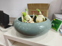 塵菁水培銅錢(qián)草專(zhuān)用花盆陶瓷無(wú)孔水養器皿碗蓮盆一葉蓮盆栽水仙花盆 哥窯十六藍色 20cm 曬單實(shí)拍圖