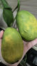 南步海南小臺農芒果 核小香甜雞蛋芒小臺芒非金煌應季新鮮熱帶水果 凈重4.5斤 中果【單果80g+】需催熟 曬單實(shí)拍圖