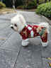 嬉皮狗（hipidog）秋冬新年小狗四腳衣喜慶江山如畫(huà)唐裝棉衣約克夏雪納瑞寵物加絨衣 德羅紅 S（建議體重3-5斤） 曬單實(shí)拍圖
