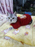 派樂(lè )特貓咪衣服拜年服冬季防掉毛新年寵物狗狗小型犬加絨保暖過(guò)年圣誕M 曬單實(shí)拍圖