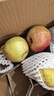正宗秦冠粉面蘋(píng)果粉糯新鮮老人小孩輔食可刮泥新鮮蘋(píng)果可脆可粉 帶箱9斤特惠大果70mm+剛收到脆放幾天粉面 曬單實(shí)拍圖
