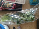 帶根香菜100g 曬單實(shí)拍圖