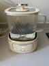 九陽(yáng)（Joyoung）凈萃養生壺迷你家用全玻璃煮茶器 輕音燉煮 1L辦公室0金屬0膠水恒溫燒水壺 WY103 曬單實(shí)拍圖