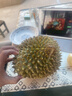 榴小七干堯榴蓮泰國進(jìn)口液氮冷凍生鮮水果 4.0-4.5斤【保4房】 曬單實(shí)拍圖