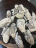 正宗鮮活乳山特大生態(tài)生蠔王新鮮海蠣子牡蠣肉質(zhì)肥美海鮮水產(chǎn)生鮮 帶箱10斤6XL（16-20個(gè)）【特大蠔】 曬單實(shí)拍圖
