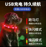 漆皮狗狗狗發(fā)光項圈【長(cháng)短可調】夜間遛狗夜行寵物項圈貓犬防走失可充電 曬單實(shí)拍圖