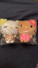 三麗鷗（SANRIO）好朋友系列 豹紋貼貼HelloKitty掛件 毛絨玩具生日禮物送女友 曬單實(shí)拍圖