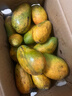 海南小臺農芒果新果芒果小臺芒當季現摘熱帶水果大甜整箱[秒殺] 單果60g+（帶箱5斤） 曬單實(shí)拍圖
