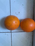 【25年鮮橙】湖北秭歸夏橙榨汁橙8甜2酸 帶箱1斤小果 曬單實(shí)拍圖