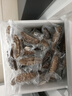 大鮮田大連有機即食海參3斤/30-48只固形物超85%遼刺參滋補禮盒源頭直發(fā) 曬單實(shí)拍圖