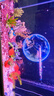 森森（SUNSUN）（免費入戶(hù)）魚(yú)缸底過(guò)濾水族箱客廳家用落地玻璃生態(tài)魚(yú)缸金魚(yú)缸 (三色燈光可調)鋼琴黑 99.2長(cháng)34寬 帶禮包 曬單實(shí)拍圖