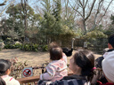 MiniPeace【專柜同款】太平鳥童裝女寶寶毛衫短裙兩件套幼童套裝 克里奧粉 90 曬單實拍圖