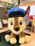 汪汪隊立大功（PAW PATROL）毛絨玩具狗狗陪睡玩偶經(jīng)典款阿奇中號坐姿可愛(ài)公仔男女孩生日禮物 曬單實(shí)拍圖